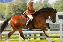 Kylebeck Churchill and Mathew Lawrence