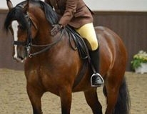 Rachel Surman-Bright and Morry Imari