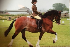 Y Ddol Robin and Jessica talbot