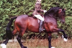 Kate Wiilliams and Ringside Game Over