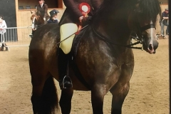 Menai Eurostar and Karen Johnson