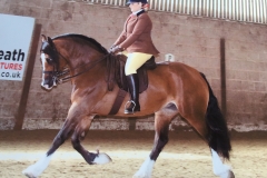 Rachel Surman-Bright Horse:Pony Morry Imari