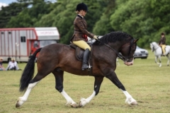 Tarnya Shields and Larnsleigh Dictator