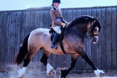 Clare Fitch and Menai Eurostar