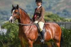 Katie Brown Hand Willgar Imperial Prince