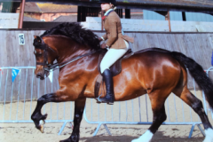 Lili Burridge and Haighmoor Llewelyn