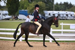 Ashleigh-Hayes-Horse_Pony-Menedh-Poldark