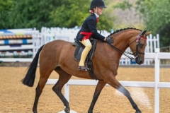 Heidi-Cooper-Horse_Pony-Cleapatra