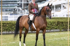 Sian-Warman-and-Sapphire