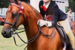 Gracie-Aungier-and-Broadgrove-Little-star