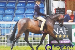 Sam-Bentley-and-Landemann-Dandelion-copy