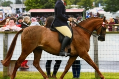 Ella-Dunn-and-Abbas-Blue-Rainbow