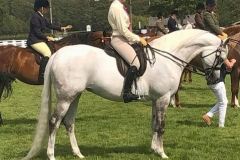 Katy-Rainey-and-Portia