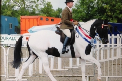 Daized N Amused and Kevin Lee