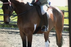 Frankby First Edition and Steph Smith