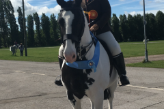 Lady Hollie Victoria scott and Harvey vi