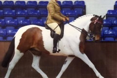 Rhyfel Saxon prince and Danni Radford