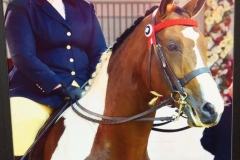 Vicarage Spirit and Sian Elphick