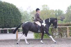 emma warren and roque Luna