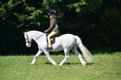 Earlsmeadow Kara's Adam and Lillie Windsor-horne