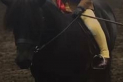 Jennifer sellers and Horning glow hawkshead