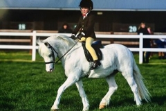 Noah Roney -Billard and Polaris unicorn