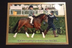 Forlan Honey Monach and Gavina Semonella