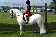 Oldacres Lilli & Oscar Fenton