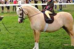 Woodend Marigold & Lola Carabine