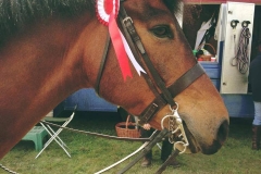 Kelly Needhams Broadlands Politics  Courtney Earl