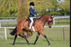 James Read and Broadgrove Showman