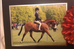 Rotherwood royal flight and Freya Cade