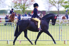 Tabitha Wood and Archwood Romeo Gigle