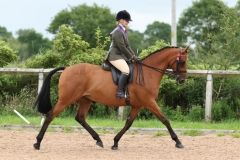 Alice-stratton-Horse_Pony-Lenmar-Lady-Moyne