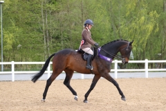 Amber-Flynn-Horse_Pony-Landin