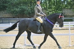 Sarah-Sharp-Horse_Pony-Lissyegan-Trendy