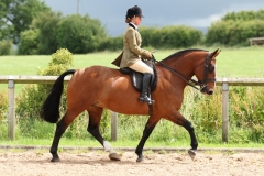 Amy-Galloway-Horse_Pony-Longwood-pearl-dancer