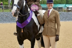 Eleanor-Eden-Horse_Pony-Antrim-Ned