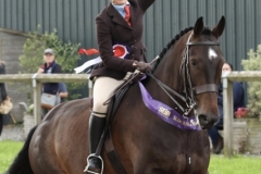 Katie-Bloomer-Horse_Pony-Limited-Edition-at-Moorside