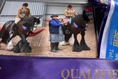 Lily-Fleming-Horse_Pony-Tommy-gun