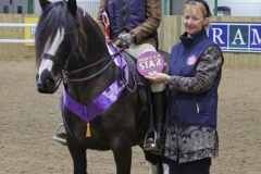 Sophie-Spencer-Horse_Pony-Tulyrogg-black-opel