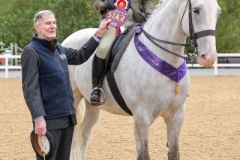 Sophie-Williams-Horse_Pony-Silver-Lily-of-Mourne