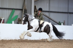 Zoe-Clarke-Horse_Pony-Marley-VI