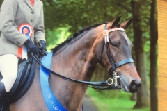 Alvescot Peppi and Sheila Williams