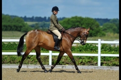 Chloe Hiscock and Aramis