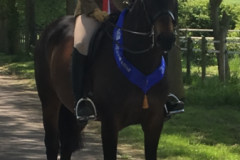 Becky Edge and Solitair’s Jack of Diamonds