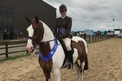 Emma Croft Horse:Pony Colourful Life