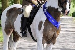 Sarah Field and Deards Gold n Silver