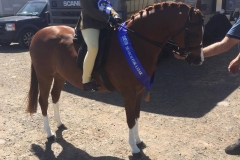 Cadlanvalley Orpheus and Chloe Neve