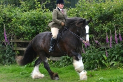 Leanne-wright-and-Paddy